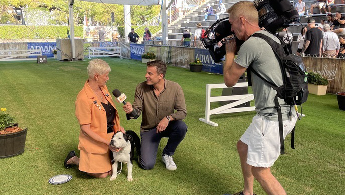TV presenter interviewing a woman with her dog at the Sydney Royal Dog Competition, while a cameraman films.