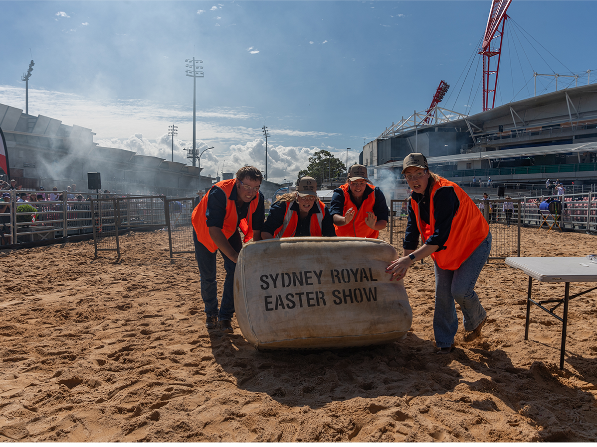 Four people wearing orange vests roll a large bale marked with Sydney Royal Easter Show name across a sandy arena.