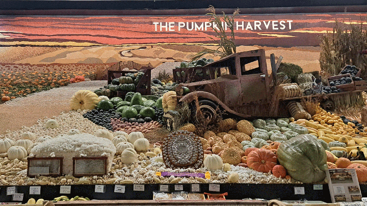 An agricultural display of pumpkins and produce with vintage truck at the Sydney Royal District Exhibits Competition.