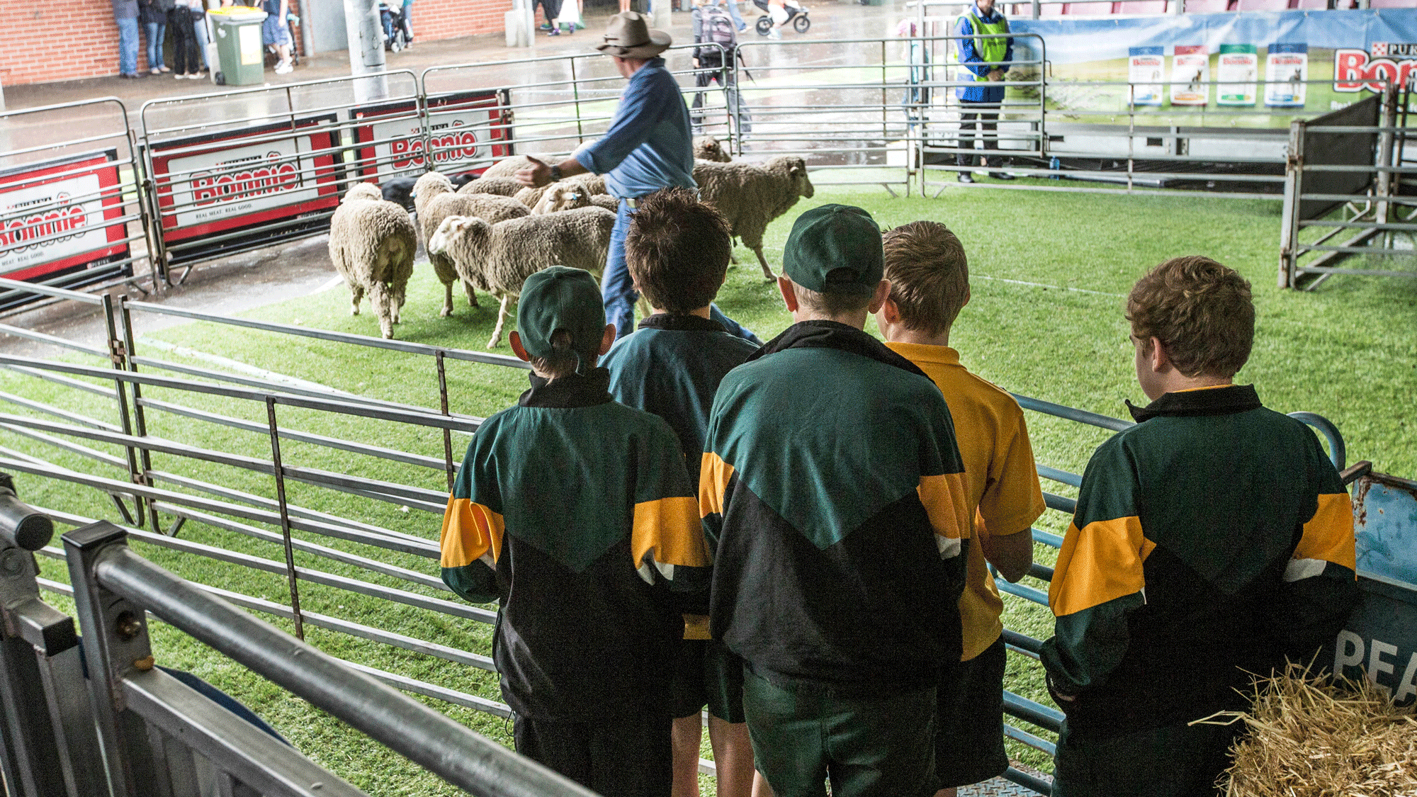 Group of students watching a farmer herd sheep in an enclosure during an agricultural demonstration.