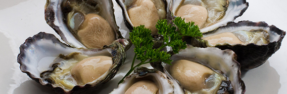 RAS President's Medal introduced