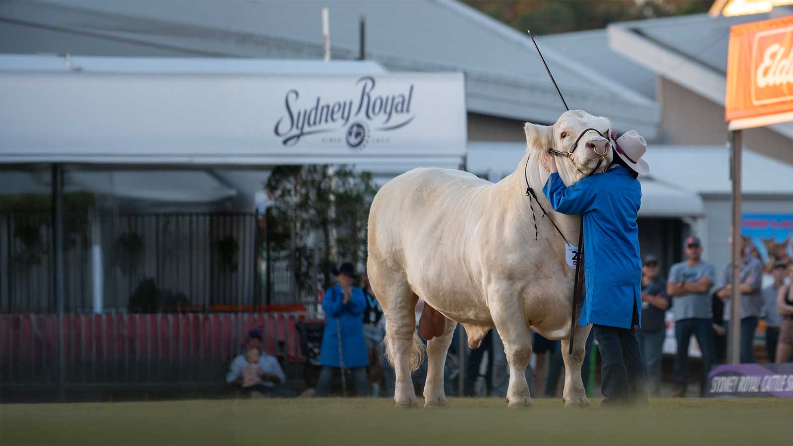 Sydney Royal Easter Show
