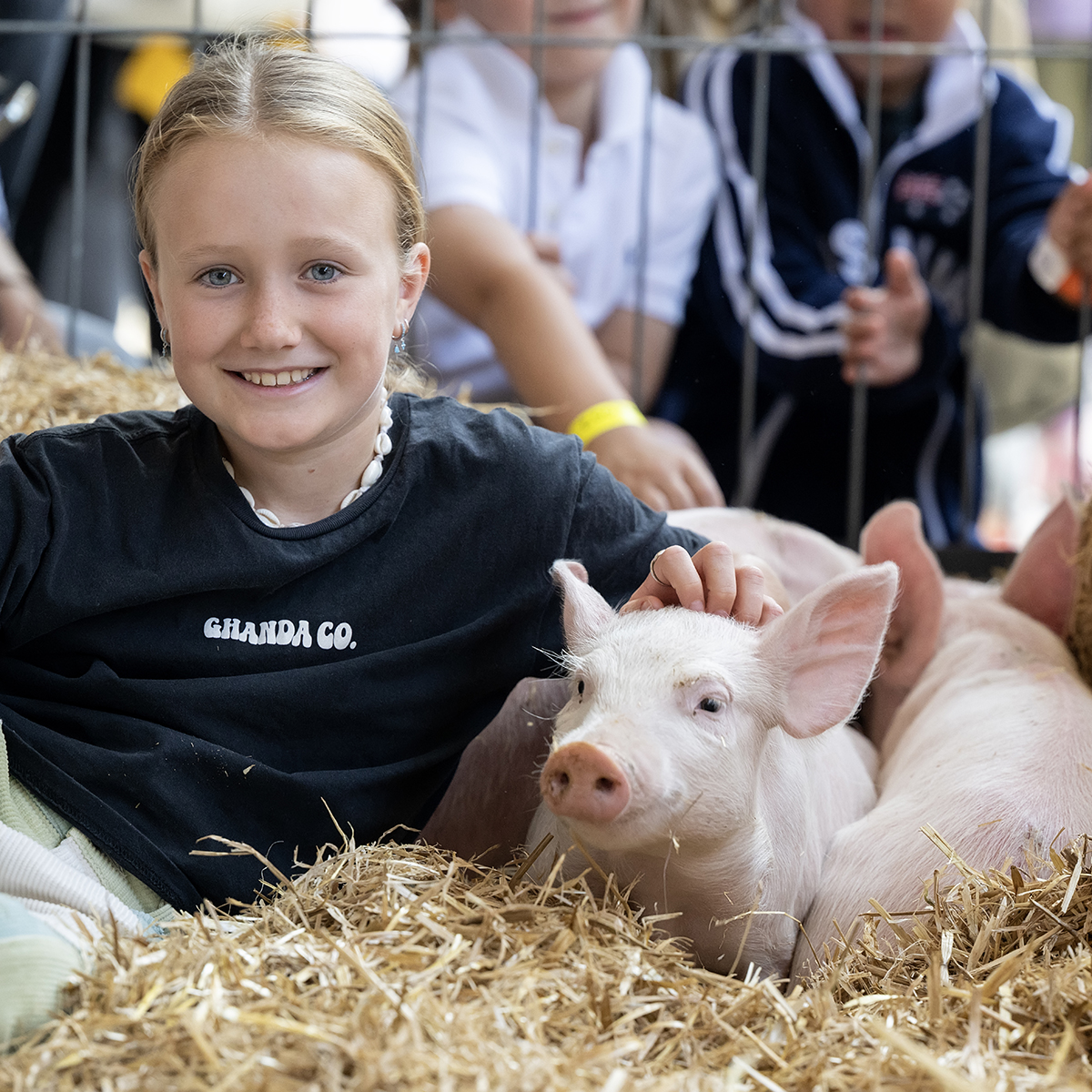 Young girl smiling while sitting beside piglets on hay in an agricultural display pen.