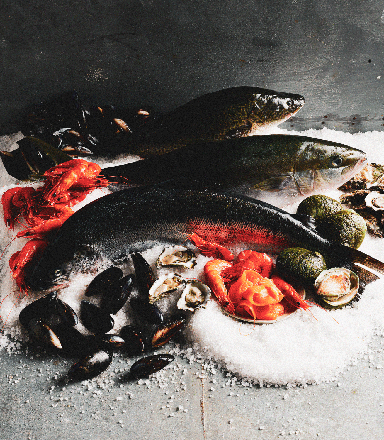 Fresh fish, prawns, oysters, and mussels displayed on ice for the Sydney Royal Fine Food Show Aquaculture Competition.